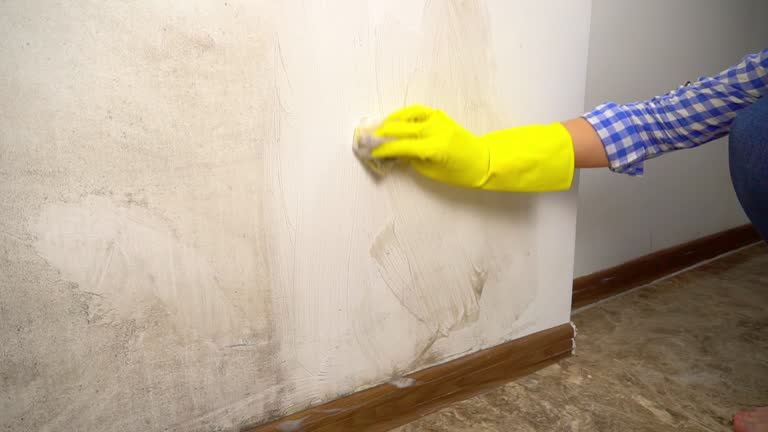 Best Mold-Related Health Consultation  in Redlands, CA